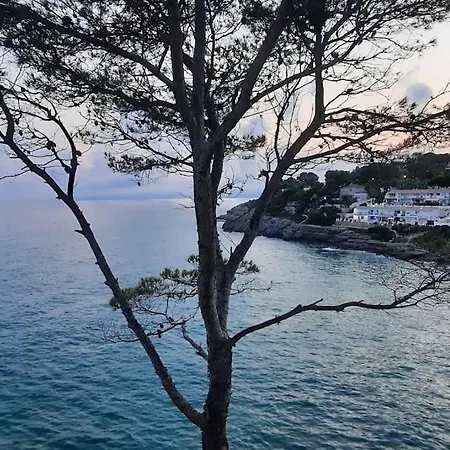 Edelweiss Cala Crancs Apartment